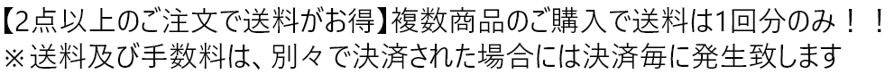 【2点以上のご注文で送料がお得】複数商品のご購入で送料は1回分のみ！！※送料及び手数料は、別々で決済された場合には決済毎に発生致します